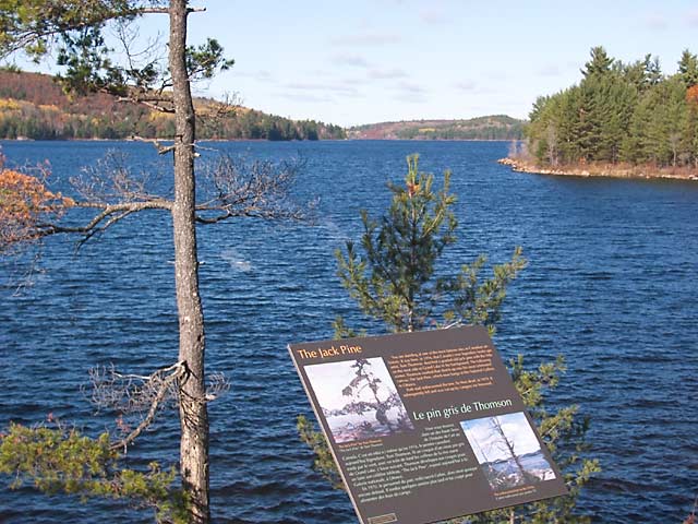 Tom Thomson interpretive plaque on Grand Lake. October, 2003.