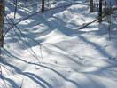 Snow Shadows icon linking to Snow Shadows