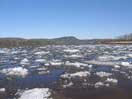 Ice Out at Point Alexander icon linking to Ice Out at Point Alexander