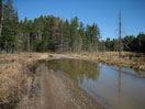Early Spring along the Basin Depot Road in Algonquin Park icon linking to Early Spring along the Basin Depot Road in Algonquin Park