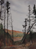 icon linking to A Fall Hike on the Highland Hiking Trail