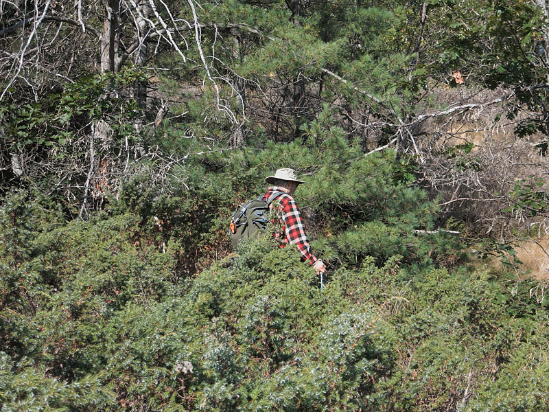 Climbing the big hill across from Achray on Grand Lake in Algonquin Park