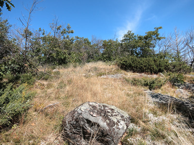 Atop the big hill across from Achray on Grand Lake in Algonquin Park