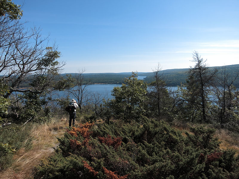 Atop the big hill across from Achray on Grand Lake in Algonquin Park