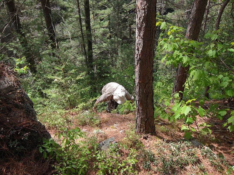 Climbing out of the Barron Canyon in Algonquin Park