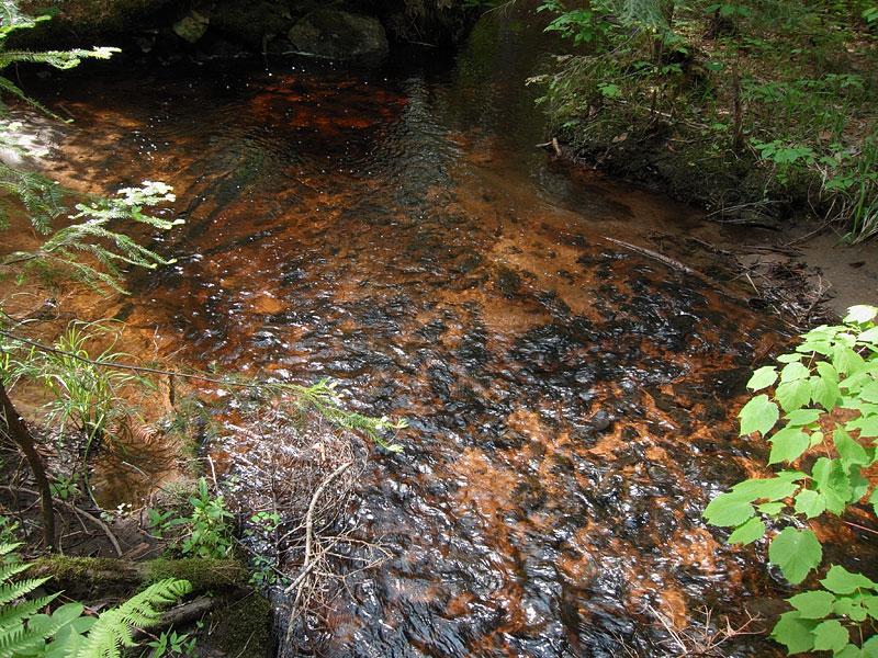 Climbing out of the Barron Canyon in Algonquin Park