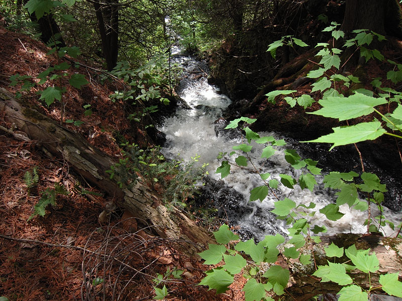 Climbing out of the Barron Canyon in Algonquin Park