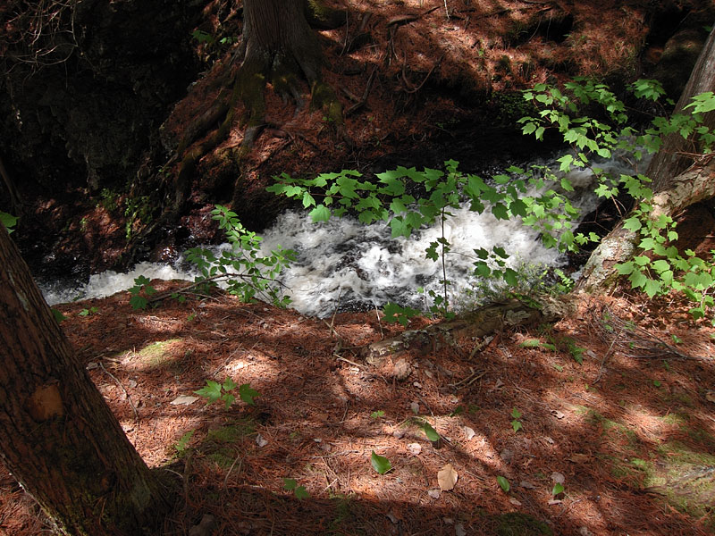 Climbing out of the Barron Canyon in Algonquin Park