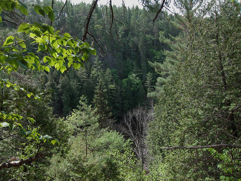 Climbing out of the Barron Canyon in Algonquin Park