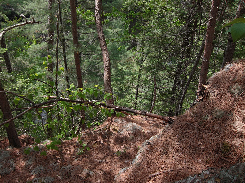 Climbing out of the Barron Canyon in Algonquin Park
