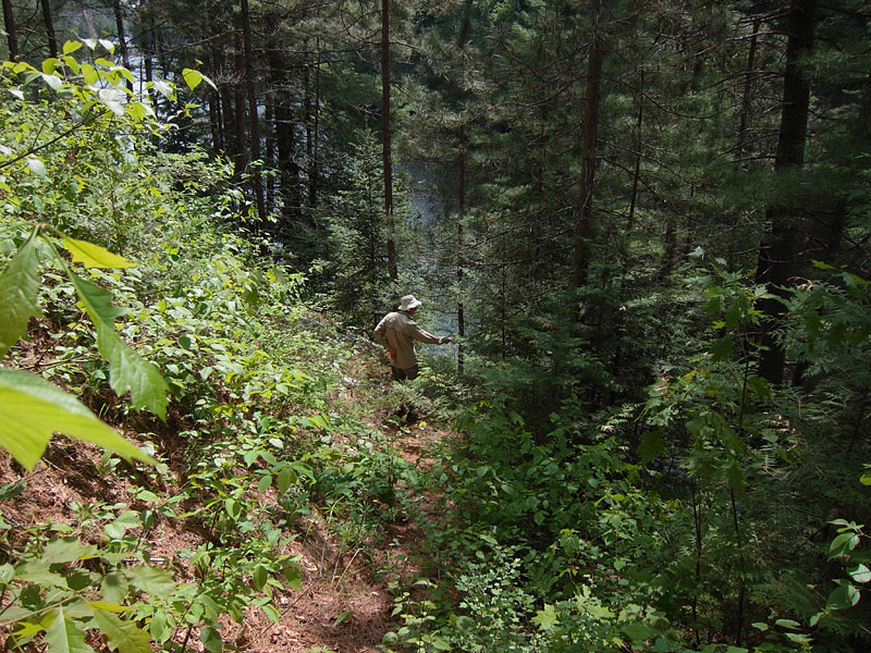 Climbing out of the Barron Canyon in Algonquin Park