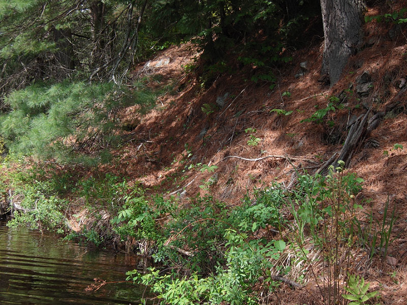 Climbing out of the Barron Canyon in Algonquin Park