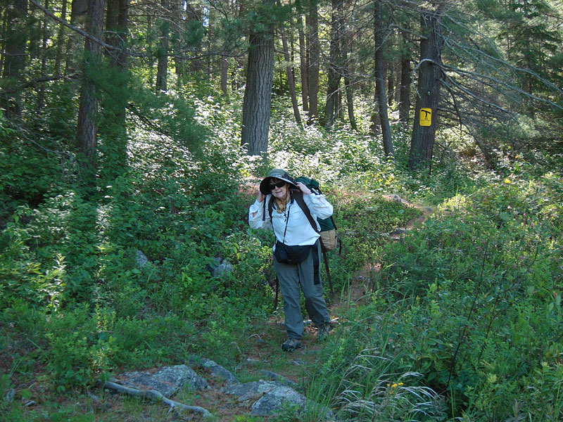 portaging between Little Carcajou Lake and Wenda Lake in Algonquin Park