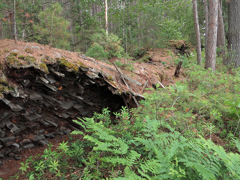 abandoned wood piles on Carcajou Lake in Algonquin Park