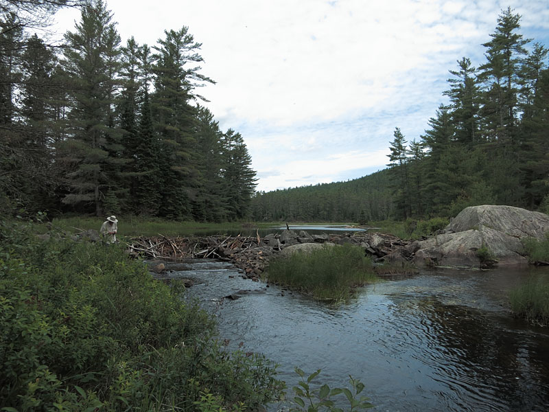 Old lumber dam on Carcajou Creek in Algonquin Park