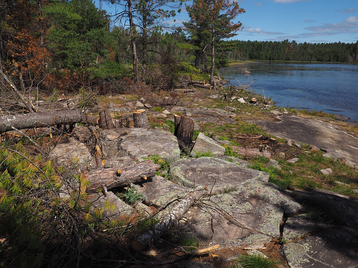 aftermath of forest fire on High Falls Lake photo from 2017 September 02