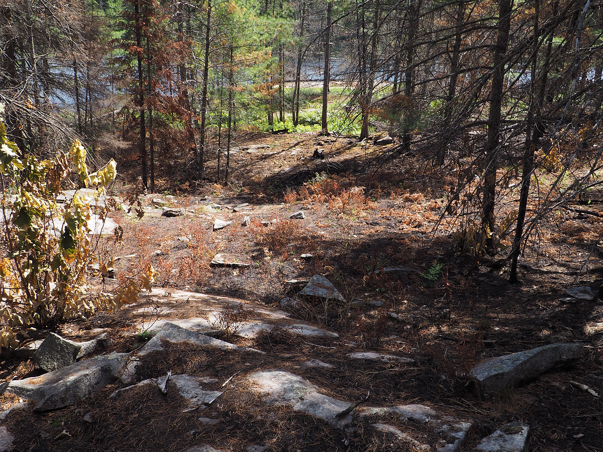 aftermath of forest fire on High Falls Lake photo from 2017 September 02