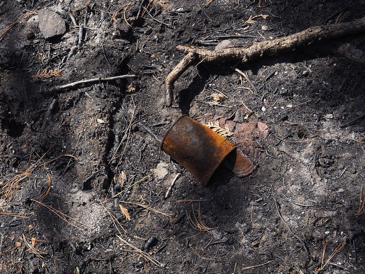 aftermath of forest fire on High Falls Lake photo from 2017 September 02