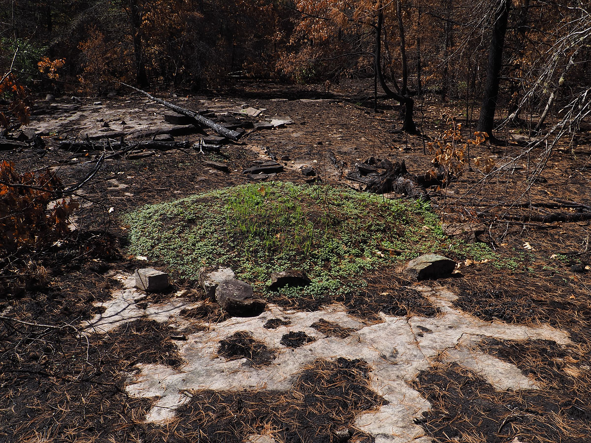 aftermath of forest fire on High Falls Lake photo from 2017 September 02