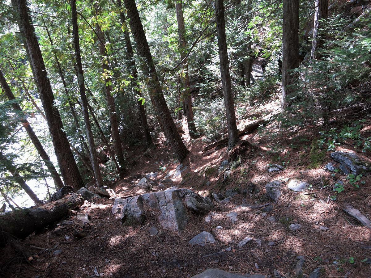 Portage trail around the first part of Natch Rapids on the Petawawa River in Algonquin Park