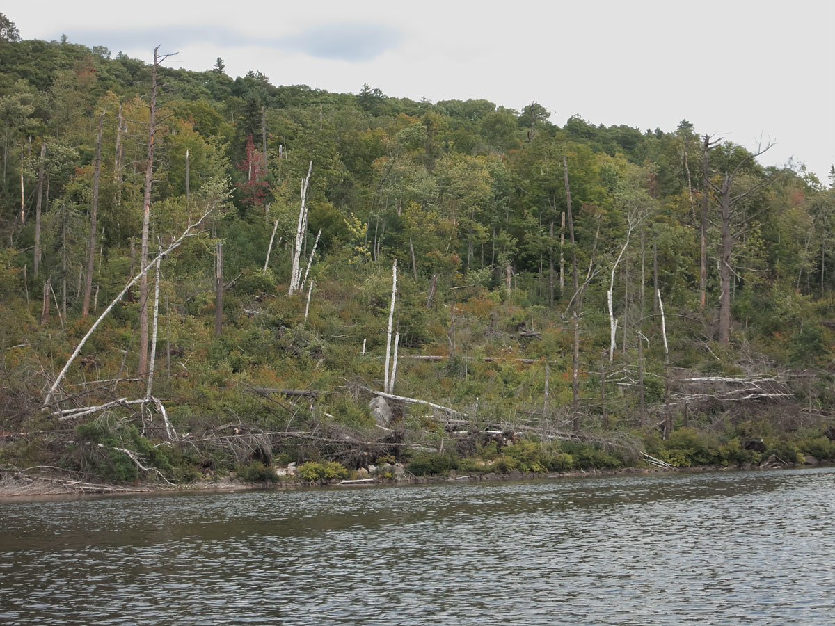 Storm damage on Coveo Lake on the Petawawa River