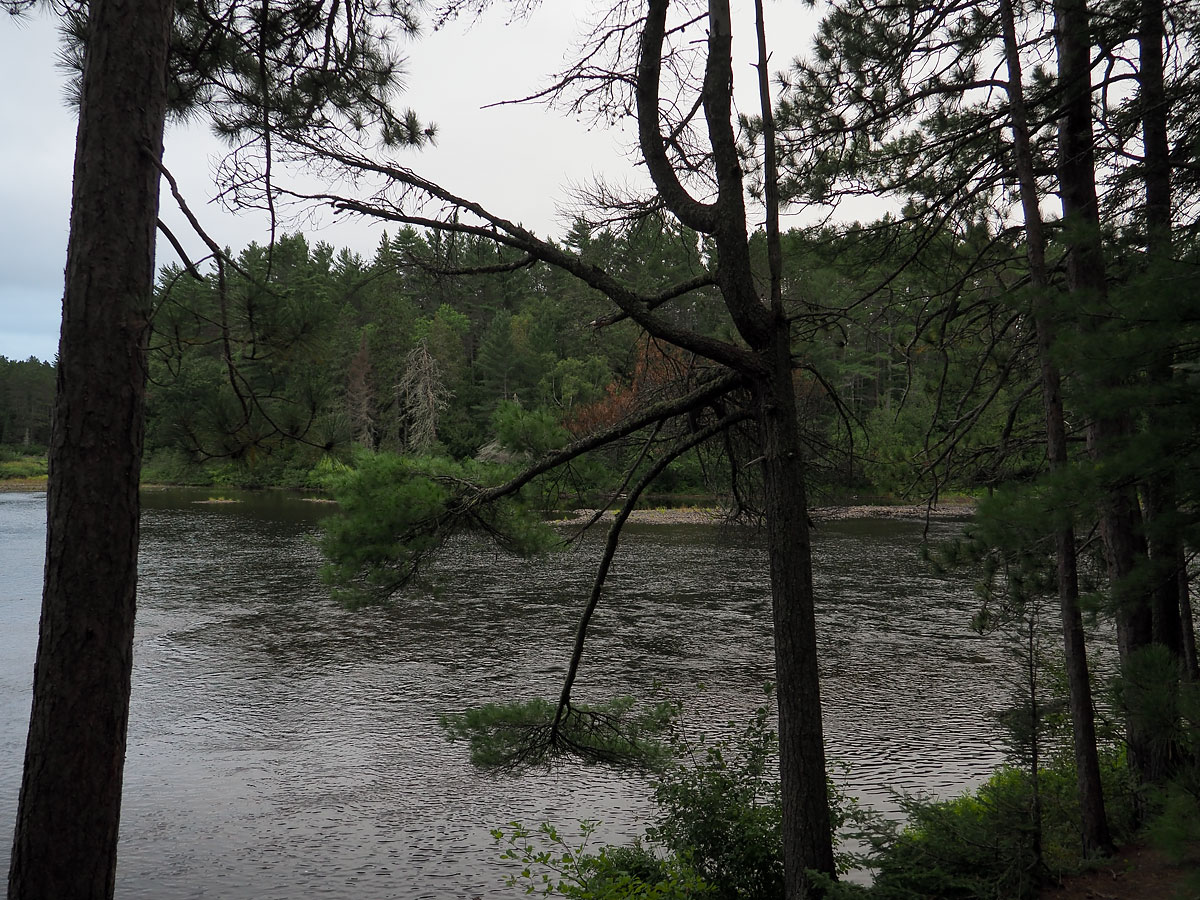 View from campsite on Five Mile Rapids on the Petawawa River in Algonquin Park