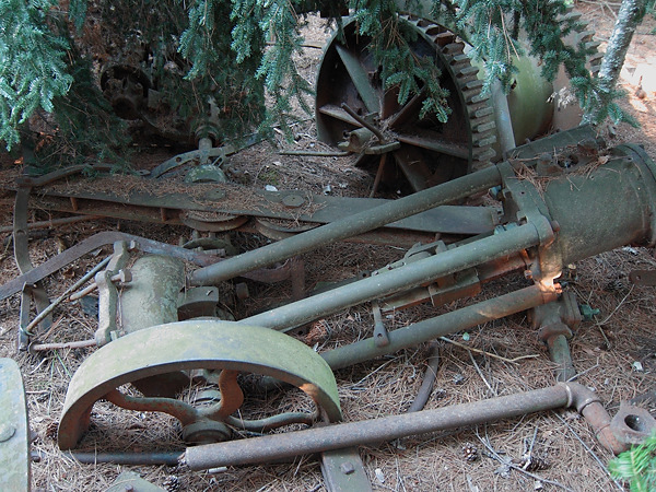 Alligator remains at Catfish Lake in Algonquin Park in 2010