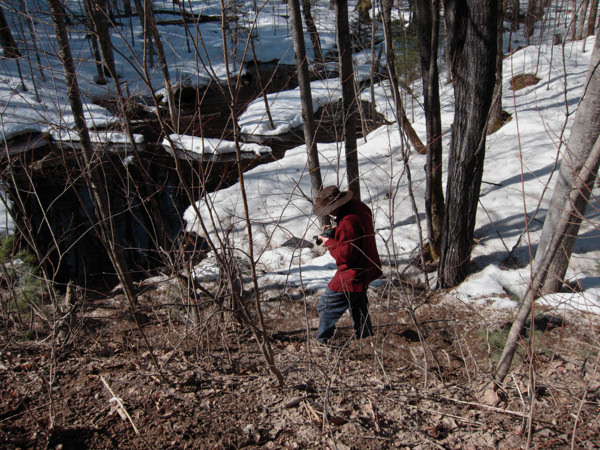 Photographing a small creek along the Achray Road in Algonquin Park in early spring