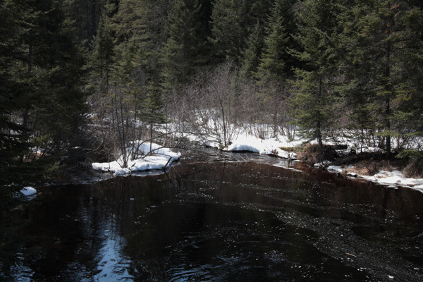 Forbes Creek in Algonquin Park in early spring