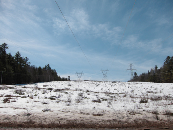 Power transmission corridor through Algonquin Park at the Achray Road in early spring