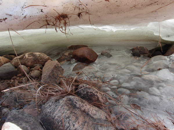 under the shore ice along the Petawawa River in Algonquin Park in the early spring