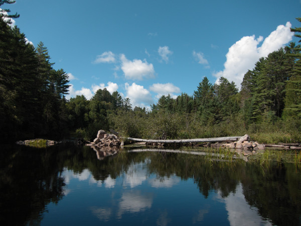 Remains of an old bridge near the mouth of the Nipissing River in Algonquin Park