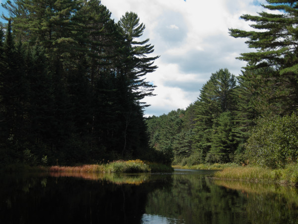 Lower Nipissing River in Algonquin Park