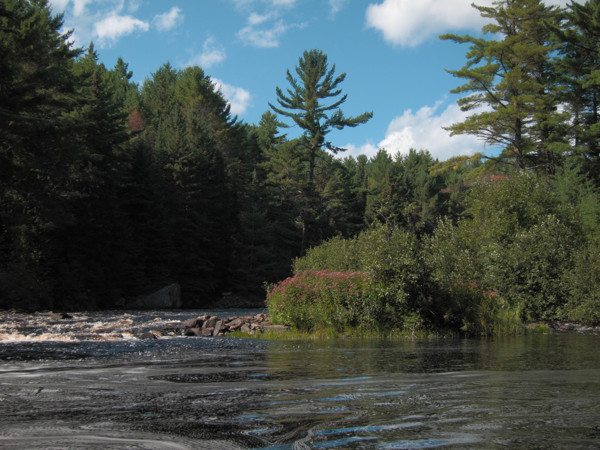 Rolling Dam on the Nipissing River in Algonquin Park