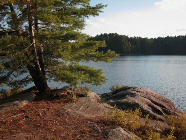 small island campsite on Catfish Lake in Algonquin Park