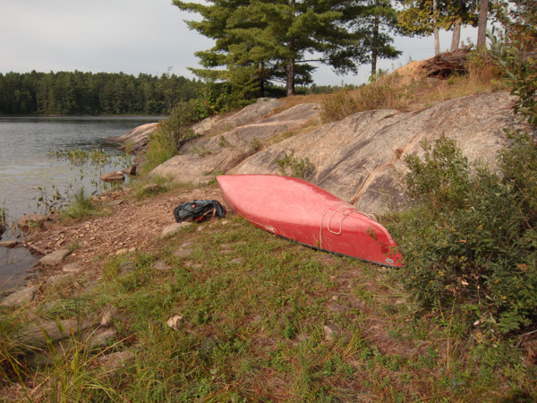 small island campsite on Catfish Lake in Algonquin Park