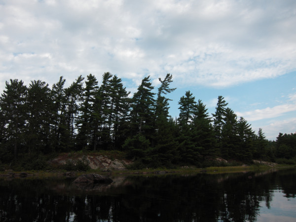 skyline on Catfish Lake in Algonquin Park