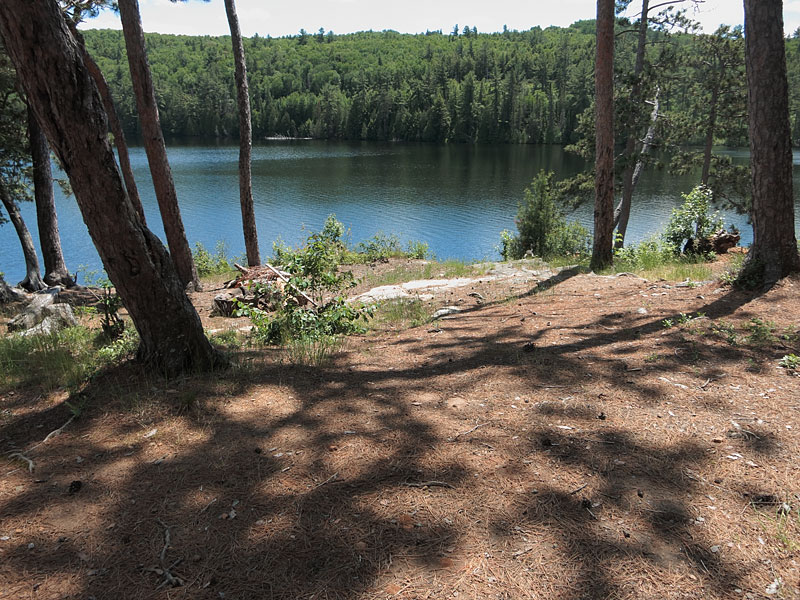 island campsite on Laurel Lake in Algonquin Park