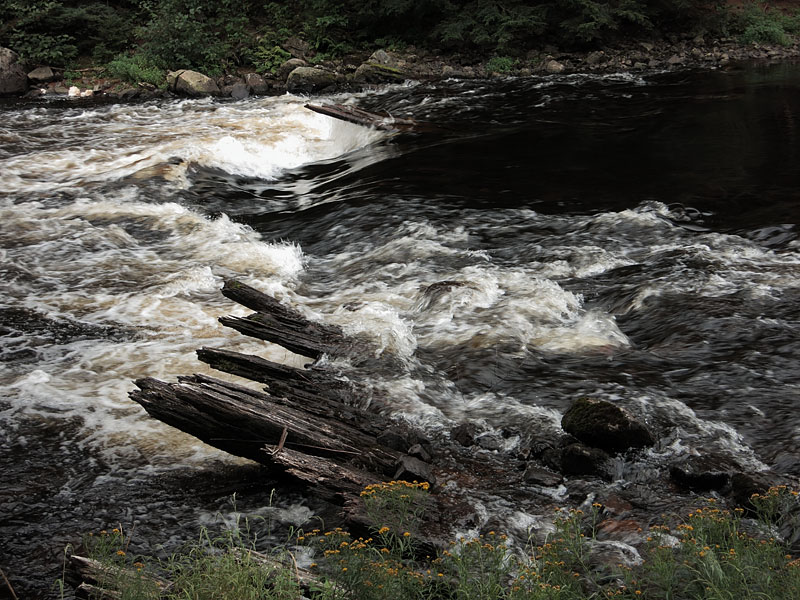 Logging dam at outlet of Catfish Lake in Algonquin Park