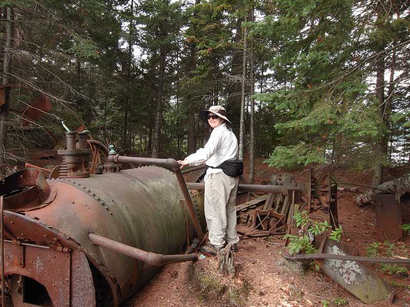 Alligator remains on Catfish Lake in Algonquin Park