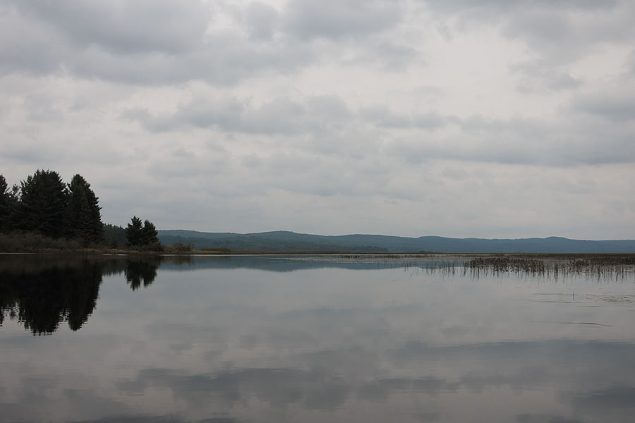 Mouth of Nipissing River on Cedar Lake in Algonquin Park