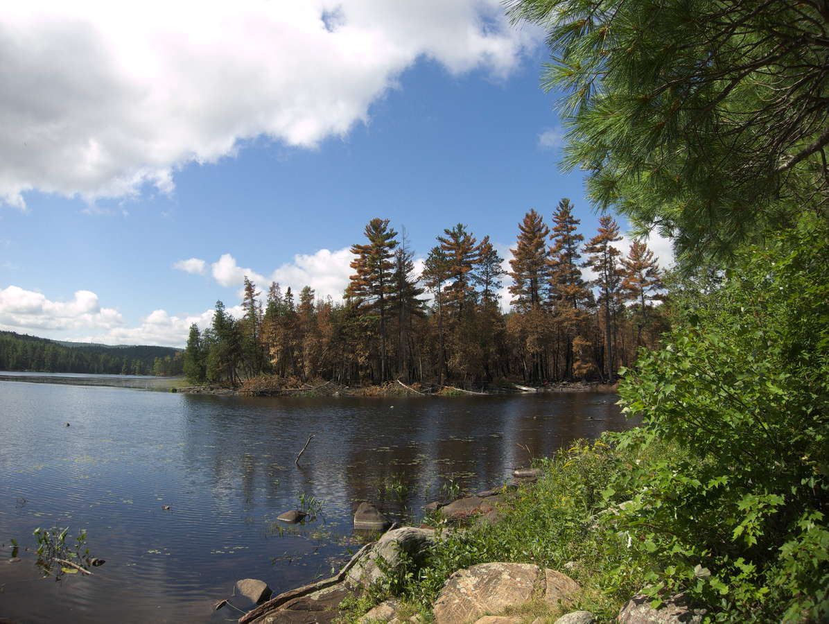 forest fire on High Falls Lake 2019 Aug 18