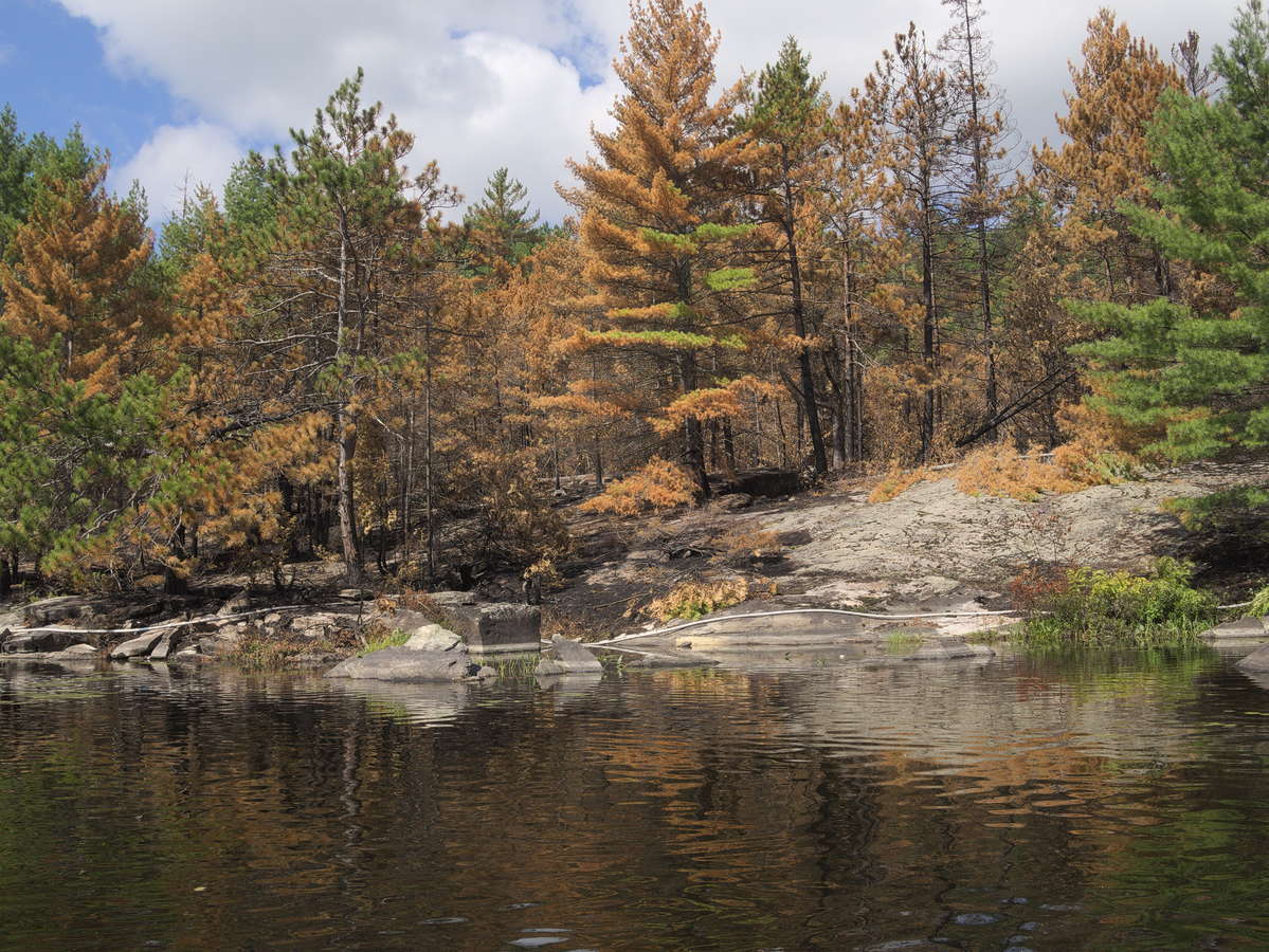 forest fire on High Falls Lake 2019 Aug 18