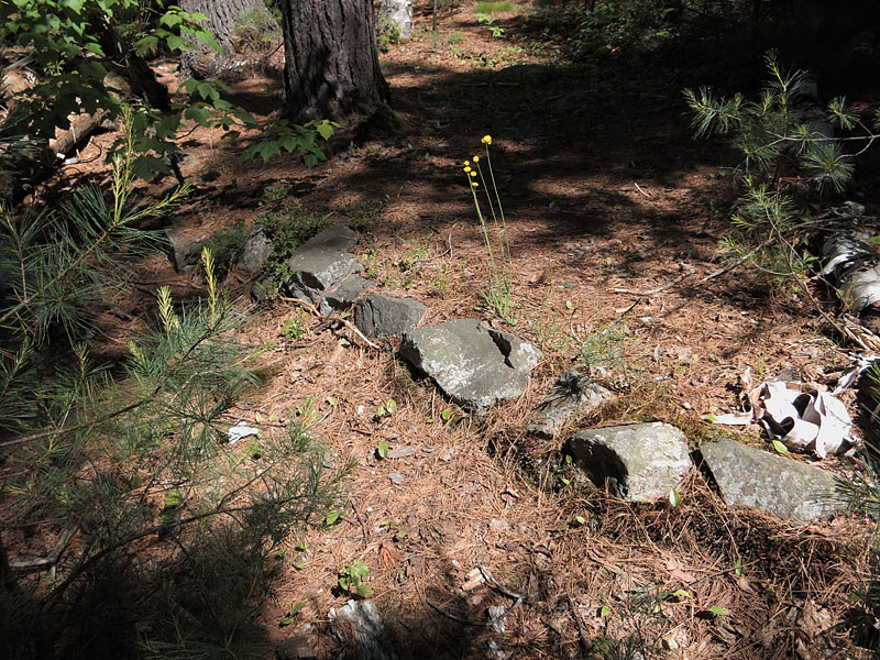 ruins of KishKaduk Lodge on Cedar Lake in Algonquin Park
