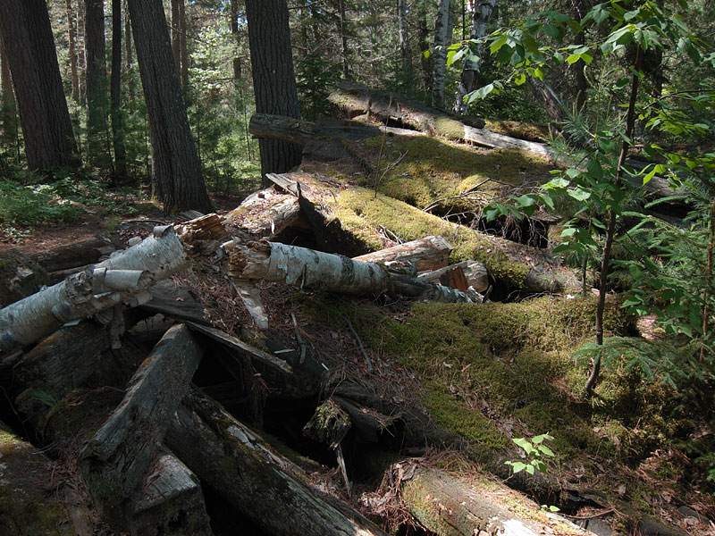ruins of KishKaduk Lodge on Cedar Lake in Algonquin Park