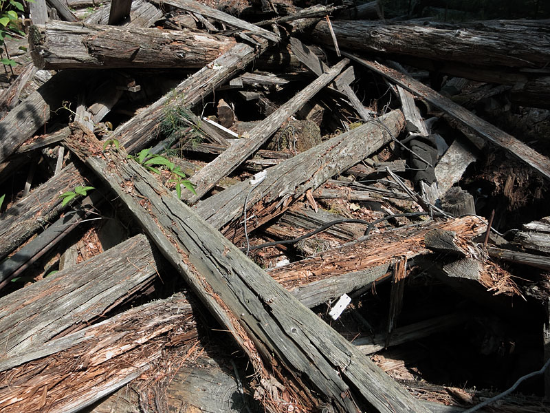 ruins of KishKaduk Lodge on Cedar Lake in Algonquin Park