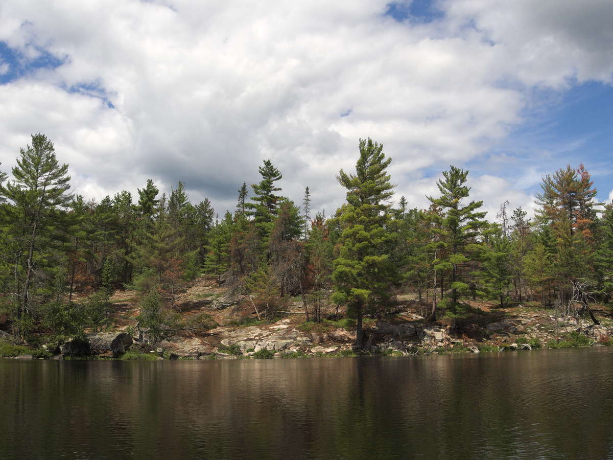 Northwestern shore of High Falls Lake in 2016 August