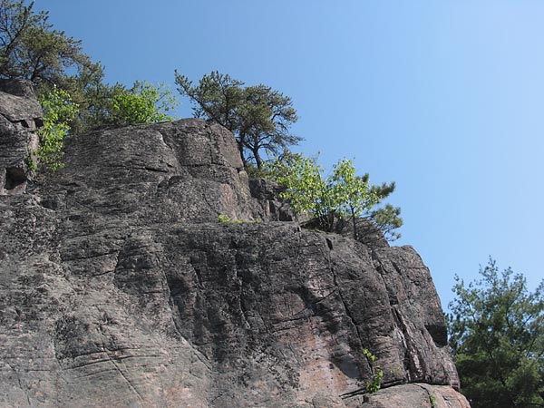 Trees and Granite