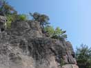 Trees and Granite