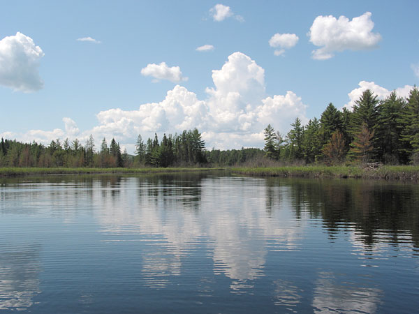 Carcajou Marsh